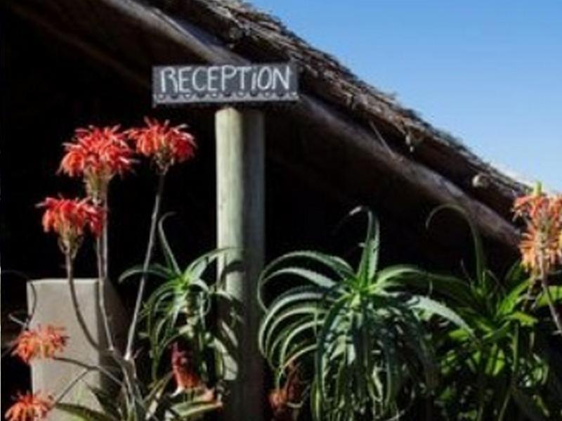 Swell Eco Lodge Lutsheni Exterior photo
